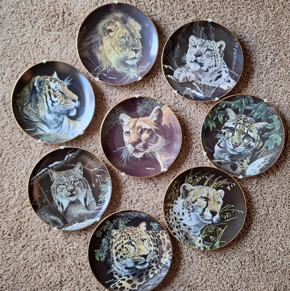 Vintage Set of 8 Nature's Majestic Cats Plates The Hamilton Collection